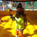 연세대 민족 태권도 이미지