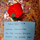 베베라피네