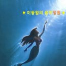 1989년 애니메이션 '인어공주' OST / Under the Sea - 김하영(마림바) 백윤학(지휘) 서울 페스타 필하모닉 오케스트라 이미지
