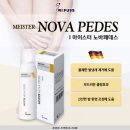 레푸스 범어점 이미지