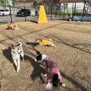 금잔디유치원 이미지