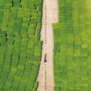 물의 기억 이미지