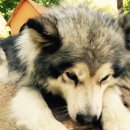 슈에뜨 펜션 이미지