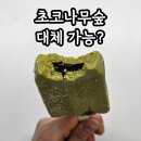 CU상현점 | 제주담은 말차초코바 가격 칼로리 카페인 여부 총정리