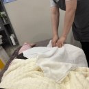 면목동-101 | 면목동 피부관리 "JJ슬림테라피 중랑점" 방문 후기!