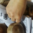 건이네 농장 이미지