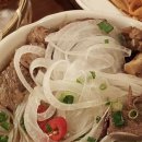 파인트리 어니스트 이미지