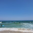 욜로하 하우스 이미지