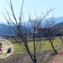 덕봉산 노래연습장 이미지