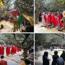화엄사 [더 한장] 산사를 붉게 물들인 '화엄매' 이미지
