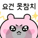 비에사제스