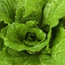 장암농장 이미지