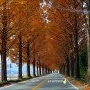 순창 가마솥 이미지