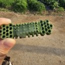 알파덴탈 이미지