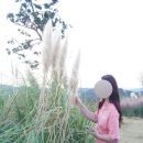 헤이메르 마린뷰 이미지