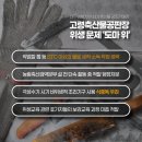 농협경제지주 주식회사 고령축산물공판장 | 고령축산물공판장, 도축 과정에서 칼·톱 소독 제대로 안 했다