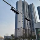 미화세탁소 네이버블로그
