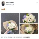 5월 일상블로그_ 자잘하게 바쁘던 날들