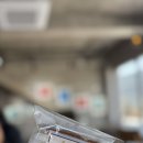 화가의정원 | 남해 커피 갤러리가 있는 카페 쌀카스테라, 피자 맛집 카페화가의 정원