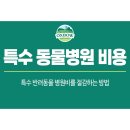 재진축산 | 특수 반려동물 병원비를 절감하는 방법