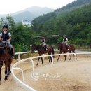 태백승마클럽 이미지