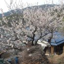 순천만자연드림목장 이미지