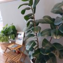 토프레소옥길점 이미지