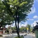 빛담 | 전주 돌스냅 한복 _ 빛담한복 피팅&amp;촬영 후기🎶