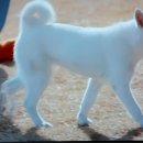 공이농장 이미지