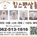 킴스펫살롱 이미지