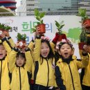 희망의 나무 이미지