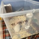 매산리 538 이미지