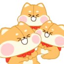 금곡중앙약국 이미지