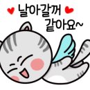 청주동물약국 이미지