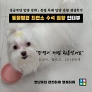 전동물병원