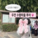청솔마을 경로식당 | 상하이 우전 수향마을 투어 내돈내산 후기 상해 8월