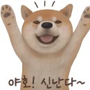 사카바초 이미지