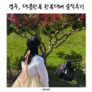 경주 황리단길 한복대여 대릉한복 신라한복 가격 위치 내돈내산 후기