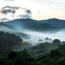 외국인이 access한 사진. 621. 이미지