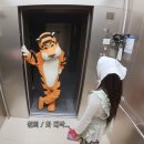 내츄럴휴 화장품 | 실수로 10년동안 봄웜으로 살았어요