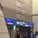 232 | 아시아나항공 OZ232 좌석, 탑승후기(+하와이)