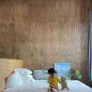 스테이느으린 이미지