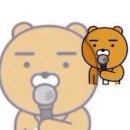 디디아이 이미지