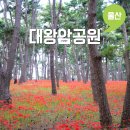 대왕암공원타워주차장화장실 | 울산 여행지 대왕암공원 꽃무릇 개화상황 주차장 바다 관광명소 추천