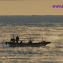 경포카써비스 이미지