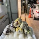 찬물래기떡방앗간 이미지