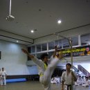 극진가라데 Daum카페