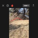 대조-010 이미지