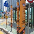 덕양초교 이미지