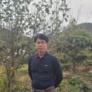 씨-스타 이미지